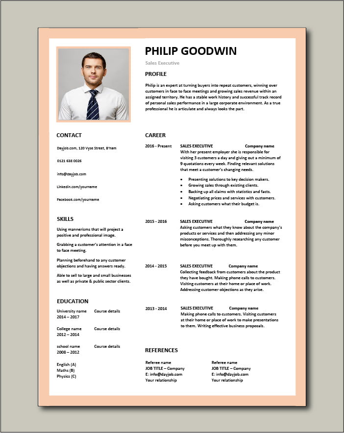 Free Sales Executive CV Template 1